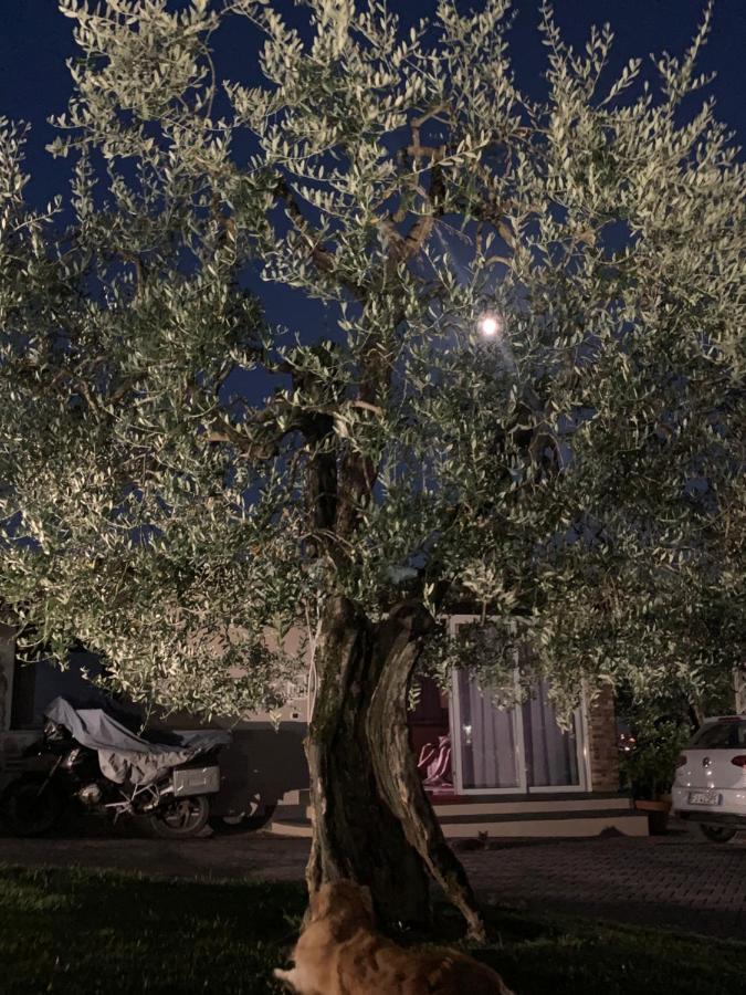 Locazione Turistica Casa Olivo Διαμέρισμα Φουσέκιο Εξωτερικό φωτογραφία